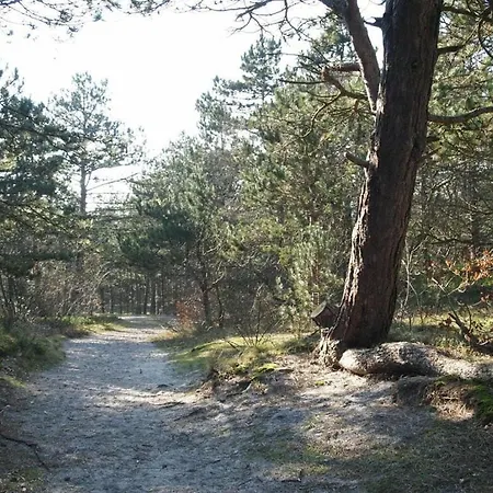 Strandgroet