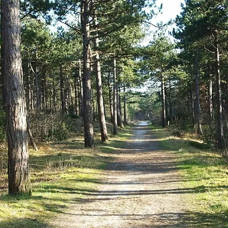 Strandgroet Apartment *